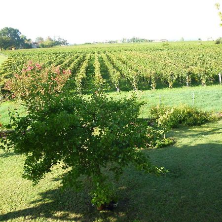 Le Clos Des Rosiers Saint-Émilion Eksteriør bilde