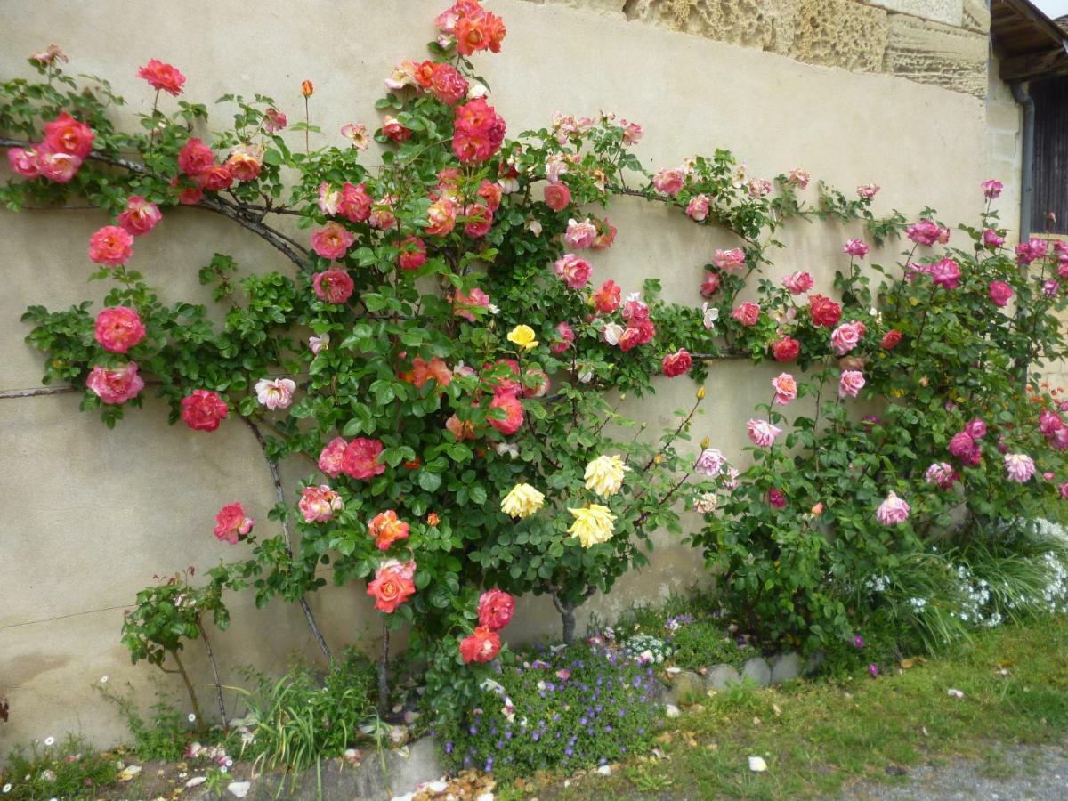 Le Clos Des Rosiers Saint-Émilion Eksteriør bilde